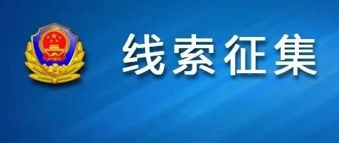 澳门正版资料免费大全新闻——揭示违法犯罪问题,澳门正版资料免费大全新闻——揭示违法犯罪问题