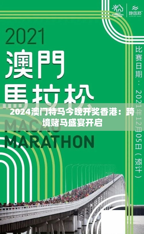 2024年今晚澳门特马,探索未来奥秘，2024年澳门特马展望